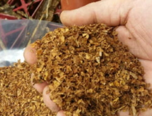 Peste o jumătate de tonă de arome de tutun narghilea descoperită cu ajutorul echipamentului de scanare