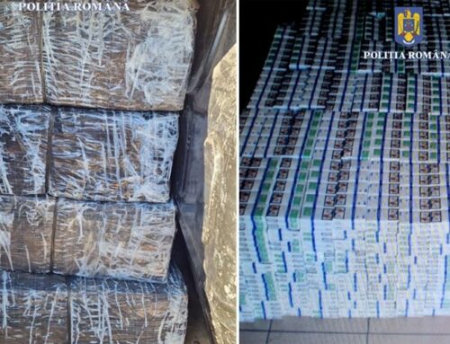 Captură impresionantă făcută de polițiștii din vestul țării! Aproape 150.000 de țigarete confiscate