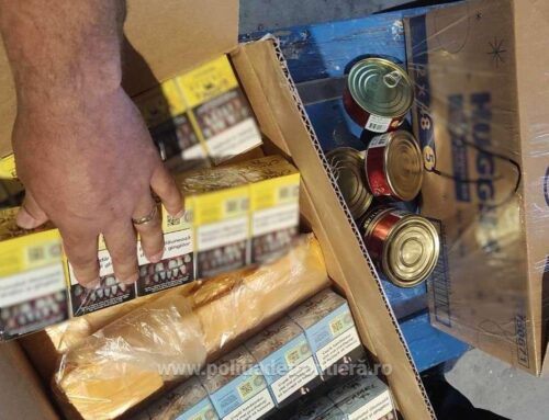 Ţigări de contrabandă, cu destinația Italia, confiscate la frontieră