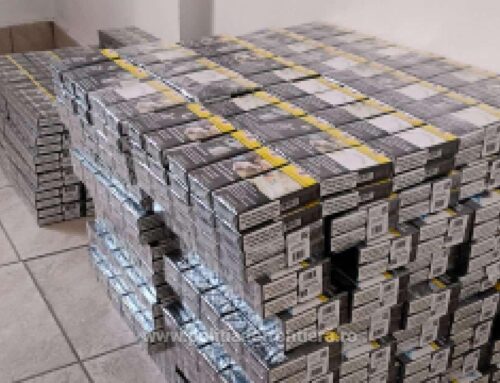 30.000 de țigarete descoperite de polițistii de frontieră din cadrul Sectorului Poliției de Frontieră Zimnicea