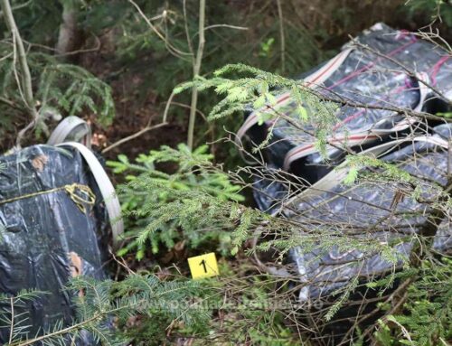 Țigări în valoare de peste 154.000 de lei, confiscate de polițiștii de frontieră suceveni