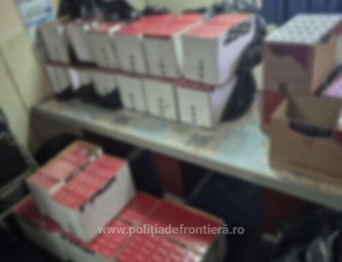 116.000 de țigarete provenite din Grecia, confiscate de poliţiştii de frontieră constănțeni
