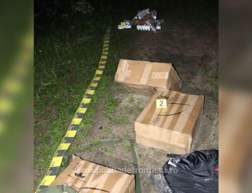 Țigări în valoare de 58.000 lei confiscate la frontiera de nord