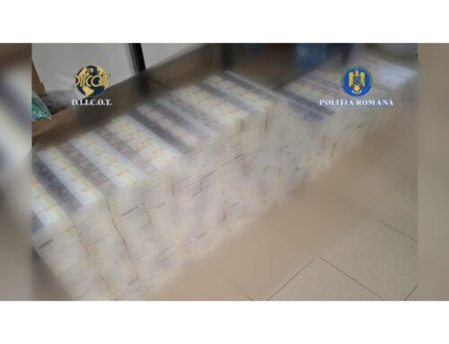 Șapte persoane cercetate pentru constituirea unui grup infracțional organizat și contrabandă