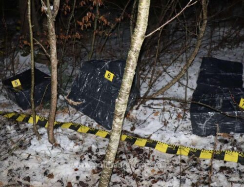 50.000 de ţigarete, în valoare de aproximativ 50.000 de lei, descoperite de către polițiștii de frontieră suceveni
