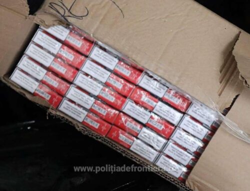 Captură impresionantă la Calafat – aproximativ 4 milioane de țigarete de contrabandă descoperite într-un ansamblu rutier