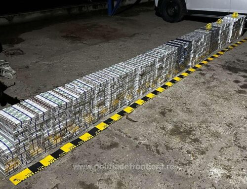Țigări în valoare de peste 115.000 de lei, descoperite de polițiștii de frontieră sătmăreni