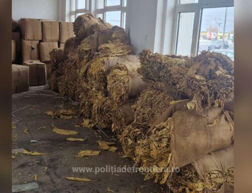 Aproximativ o tonă de tutun vrac descoperită de către polițiștii de frontieră giurgiuveni într-un microbuz