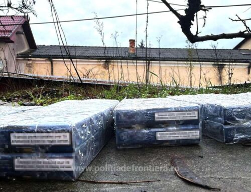 Țigarete de aproximativ 50.000 de lei confiscate în județul Botoșani