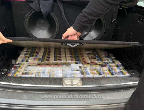 Peste 2.800 de pachete țigări de contrabandă, descoperite de polițiștii de frontieră constănțeni