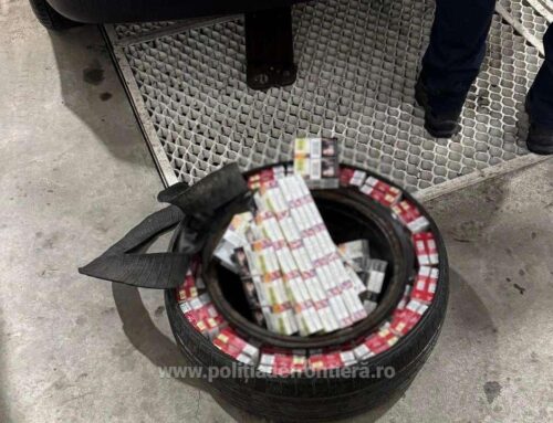 Țigări ascunse și nedeclarate descoperite în PTF Galați-Rutier