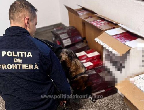 54.000 de țigarete de contrabandă descoperite de polițiștii de frontieră la bordul unei nave, în Portul Constanța