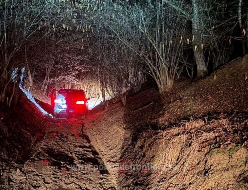 24.000 de pachete cu țigări, în valoare de peste 464.000 de lei, descoperite într-un autovehicul de către poliţiştii de frontieră