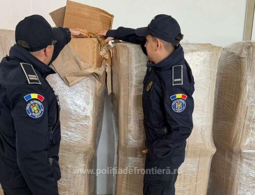 Peste o tonă de tutun vrac descoperită de polițiștii de frontieră giurgiuveni în urma unui control efectuat asupra unei autoutilitare