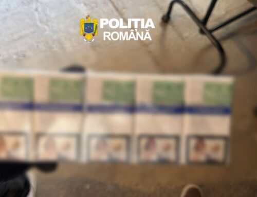 Timiș: Contrabandă cu 260.000 de țigarete; două persoane au fost reținute