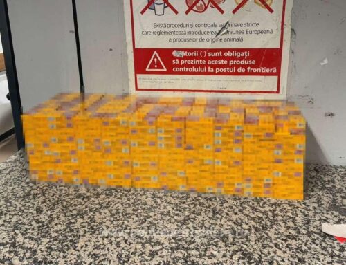 Contrabandă cu tutun la Aeroportul Otopeni: sute de pachete de țigări și tutun vrac, descoperite în cutii de dulciuri și electronice