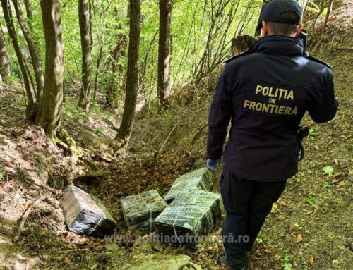 Percheziții în Maramureș într-un dosar de contrabandă: țigări camuflate în vegetație și mobilier