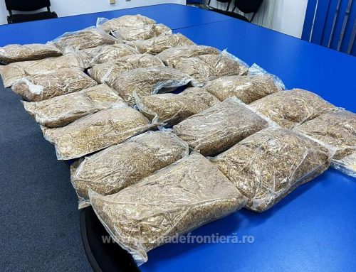 22 de kilograme de tutun vrac, fără documente de proveniență, descoperite la Călărași
